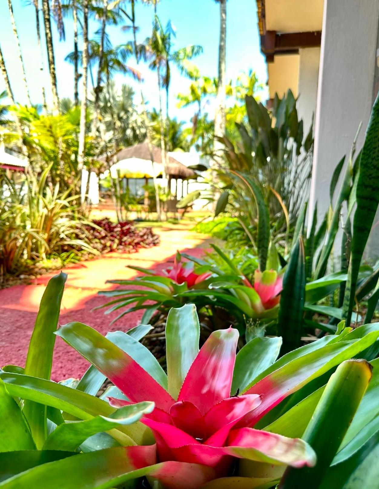 Hotel Casa Paradiso Guarujá Exteriér fotografie